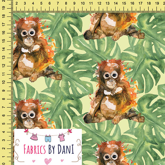 Orangutan