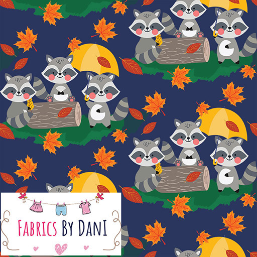 Raccoon Autumn