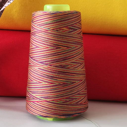Overlocker Cone - Rainbow Thread